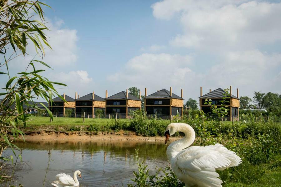 Camping Nieuw Romalo Voorthuizen Exterior foto